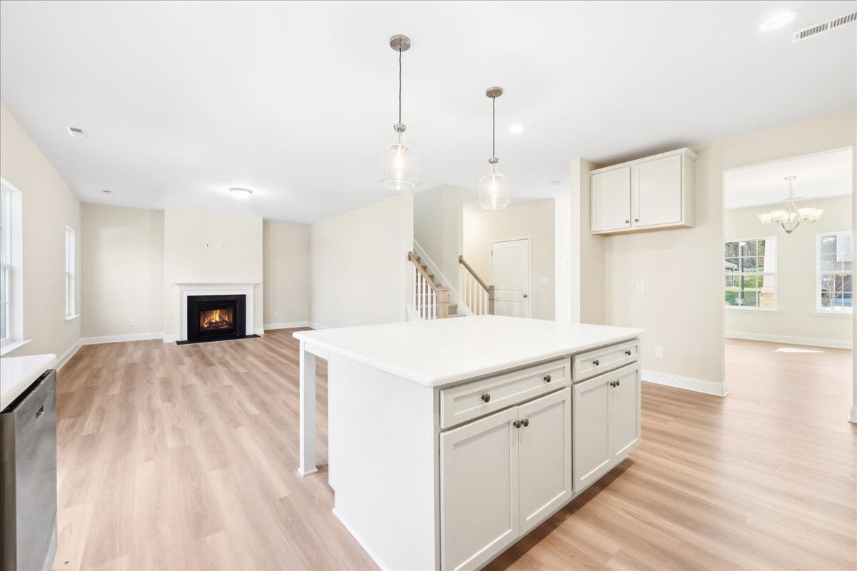 https://assets.windsorhomes.us/img/BCR_lot3_Cameron_elvC_1951_Kippen_Drive_kitchen_2.jpg