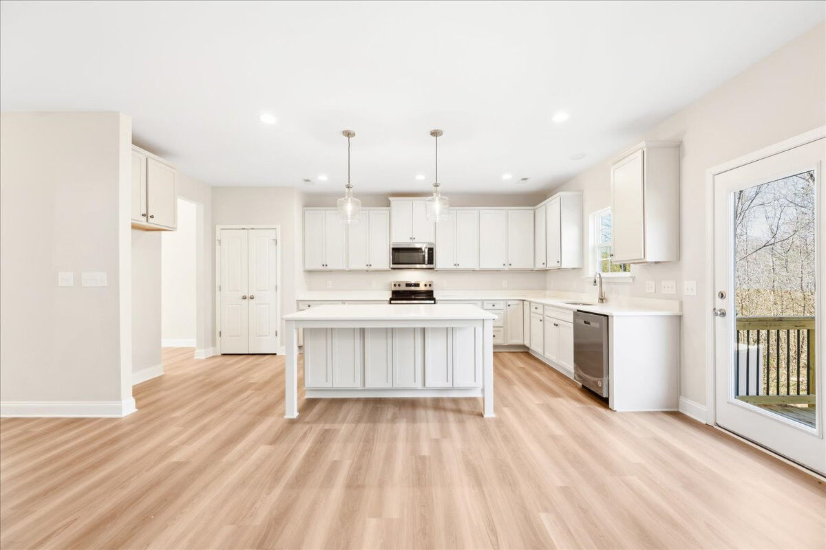 https://assets.windsorhomes.us/img/BCR_lot3_Cameron_elvC_1951_Kippen_Drive_kitchen_4.jpg