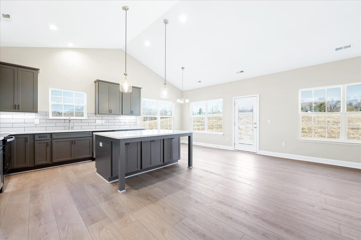 https://assets.windsorhomes.us/img/VR_lot84_Cary_elvC_207_Wildwood_Lane_kitchen.jpg